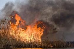 5 пожаров произошло за минувшие сутки. Фото zp.mns.gov.ua