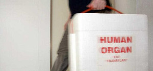 Крымчане готовы продать свою почку за 100 тысяч гривен и сердце за 250 тысяч долларов