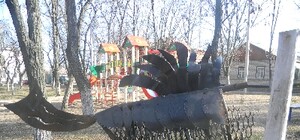 В донецком поселке открутили голову золотой рыбке