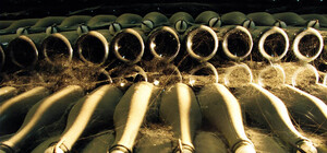 Сколько стоит экскурсия на Соляные шахты и Завод шампанского