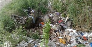 Депутаты горсовета запредили выбрасывать мусор в балки