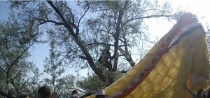 В Крыму парапланерист рухнул на отдыхающих