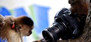 Городские чудаки: журналист отобрал фотоаппарат у инспектора