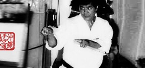 В Запорожье приедет голливудский сэнсей Тадаши Ямашита