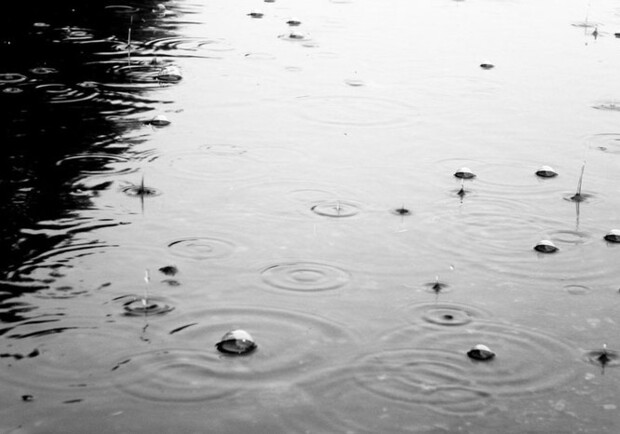 Новость - События - Целый день в Запорожье будет идти дождь