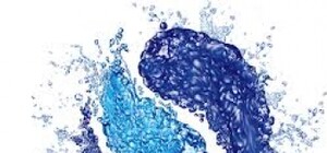 В компании Global Spirits (ТМ 