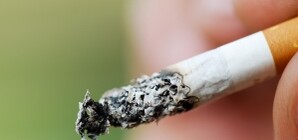 Возле луганской мэрии баянист 