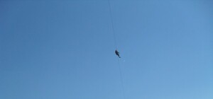 В Севастополе открылся самый длинный в Европе аттракцион-троллей