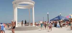 На Тарханкуте вырубают деревья ради аттракционов и нелегально торгуют вином