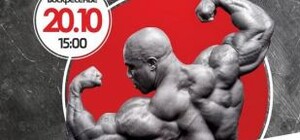 Покажи-ка мне трицепс: где и когда посмотреть на мускулистых красавцев