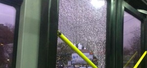 На Крытом рынке мужик кинулся на троллейбус – выбил стекла