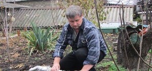 Дончанин выращивает экзотические южные фрукты прямо у себя на даче