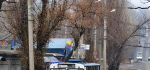 Попытка вернуть 21-й троллейбус обернулась провалом