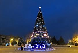 Новость - События - В Запорожье главная городская елка будет по-сиротски жаться к забору