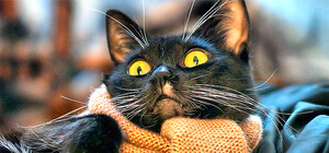 Лечимся с умом: Топ-10 ошибок при лечении простуд