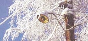 Из-за непогоды 14 улиц остались без света