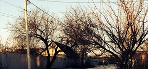 О чем пишут в соцсетях: снегомания, пес с мэма и гоп-стоп на поселке Котовского