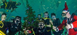 В креативном Петровском парке новогоднюю елку устанавливают под водой