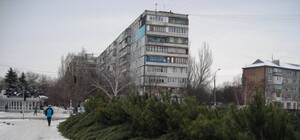 В Запорожье самые дорогостоящие елки - в центре, а самые доступные  - на окраинах