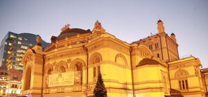 В центре появилась елка-сестра той, что должна была стоять на Майдане