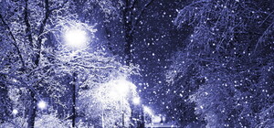 Городские власти готовятся к новогоднему снегопаду