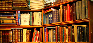 Помоги книгой: в Киеве формируют библиотеку Майдана