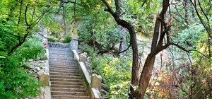 14 февраля симферопольцы проведут за уборкой