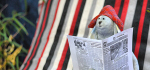 Прочитано о Киеве: что пишут и говорят о городе утром 17 февраля