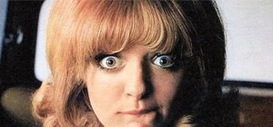 Донецкие СтопХамовцы наказали 