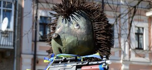 Не прошло и дня: у 