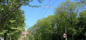 В Одессе автомобилист сфотографировал VIP- кортеж на встречке и вляпался в историю