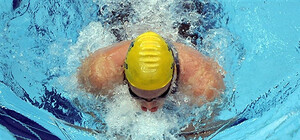 Наши рулят: Запорожские 