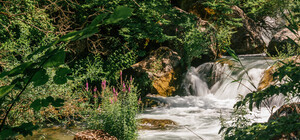 Достопримечательности Крыма: прогулка по Чернореченскому каньону