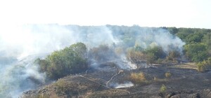 На острове Хортица пожаром уничтожено 10 гектаров степей