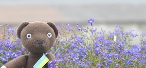 Прочитано об Одессе: что говорят и пишут о городе 3 декабря