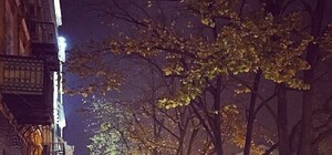 Афиша на вечер: где приятно провести понедельник