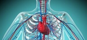 Кардиохирурги: Ситуация в стране 