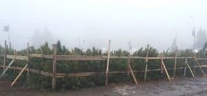 Фотофакт: В Запорожье продают 