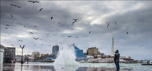 Зима в Севастополе: 