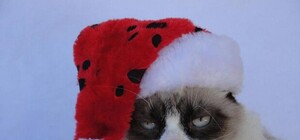 Дождутся ли киевляне снега на Новый год