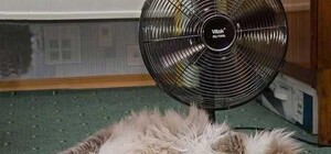 Перестарались: палять так, що львів’яни просять виключати опалення