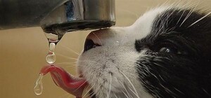 С 1 травня за воду у Львові доведеться платити дорожче