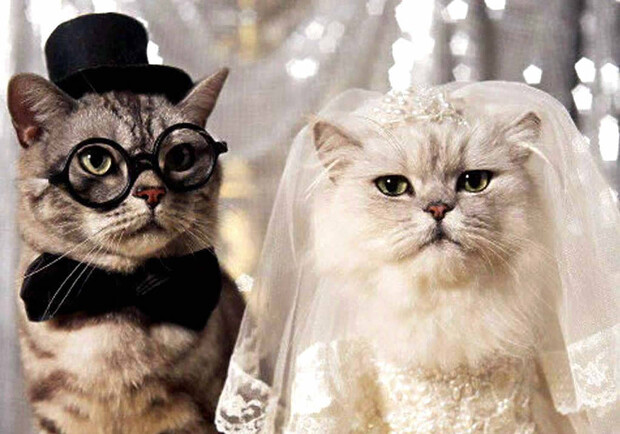 Фото сайта crosti.ru