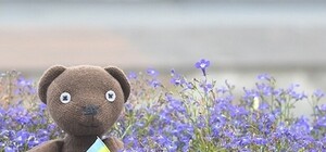 Прочитано о Харькове: что пишут и говорят о городе утром 5 июня