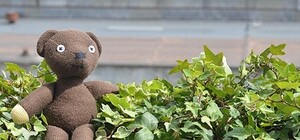 Прочитано о Харькове: что пишут и говорят о городе утром  23 июня