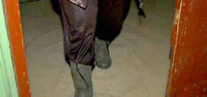 Видеофакт: В запорожских подъездах идут реальные водопады