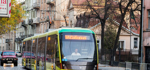 Жовті красунчики 