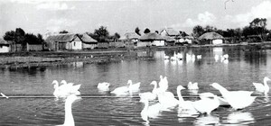 Рассматриваем уникальные фото: как строили киевскую ГЭС