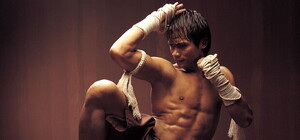 Сегодня в саду Шевченко покажут тайский бокс