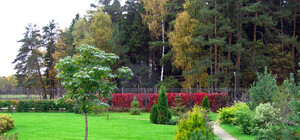 На Кичкасе появится сквер имени Александра Бирюка